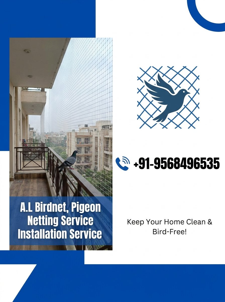 Pigeon Netting Service